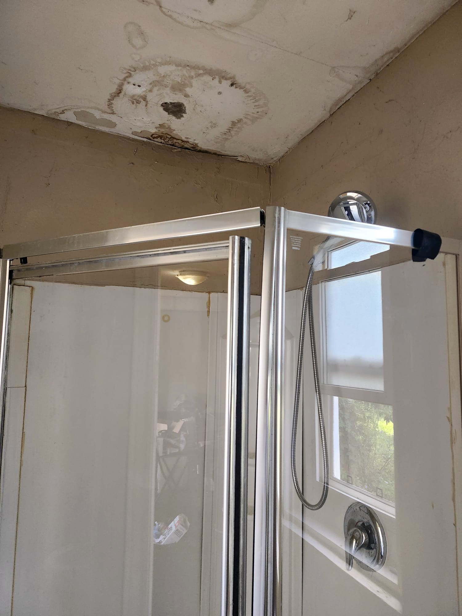 Shower stall and stained ceiling before deep cleaning