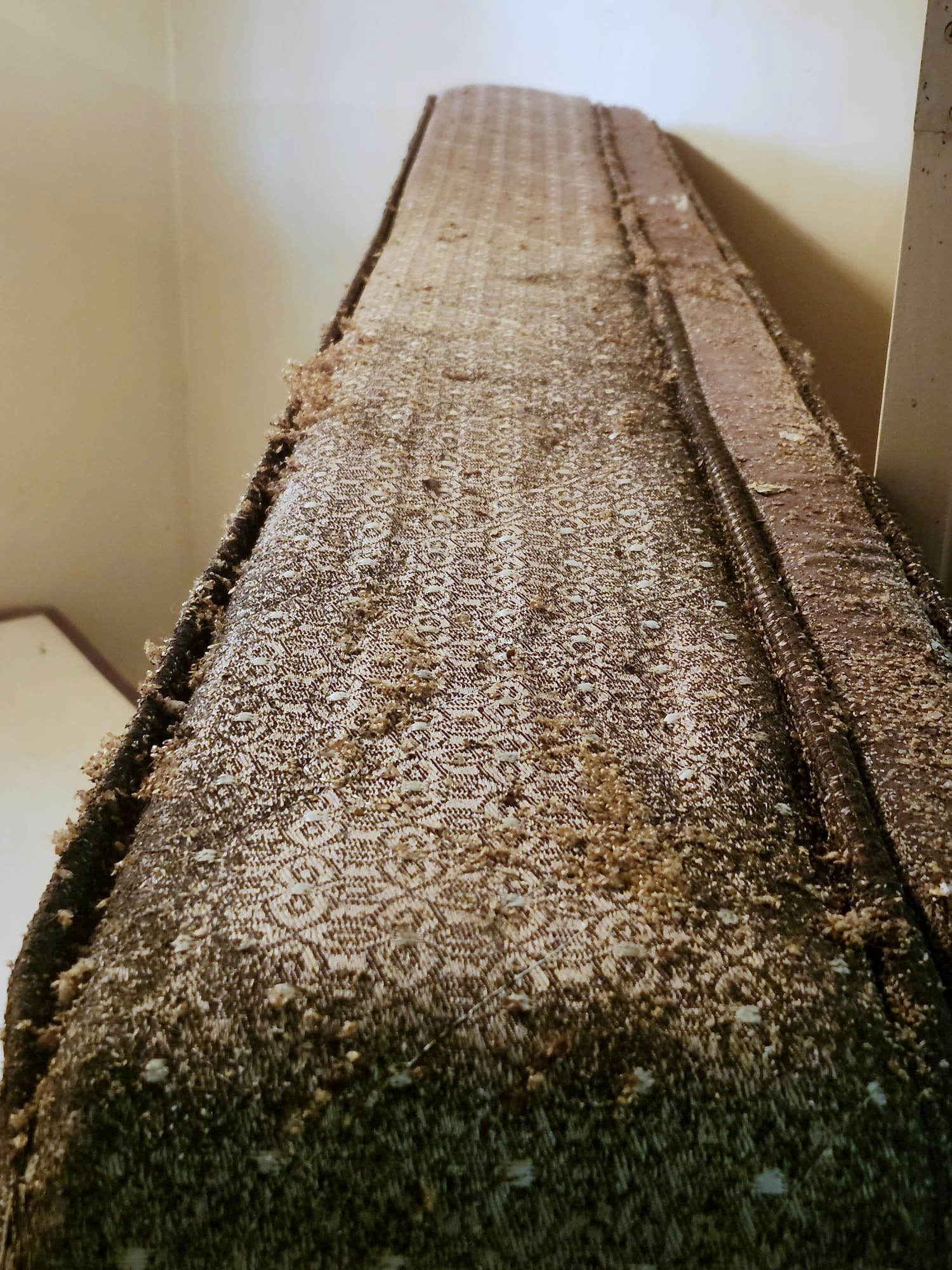 Soiled mattress being removed during a deep clean
