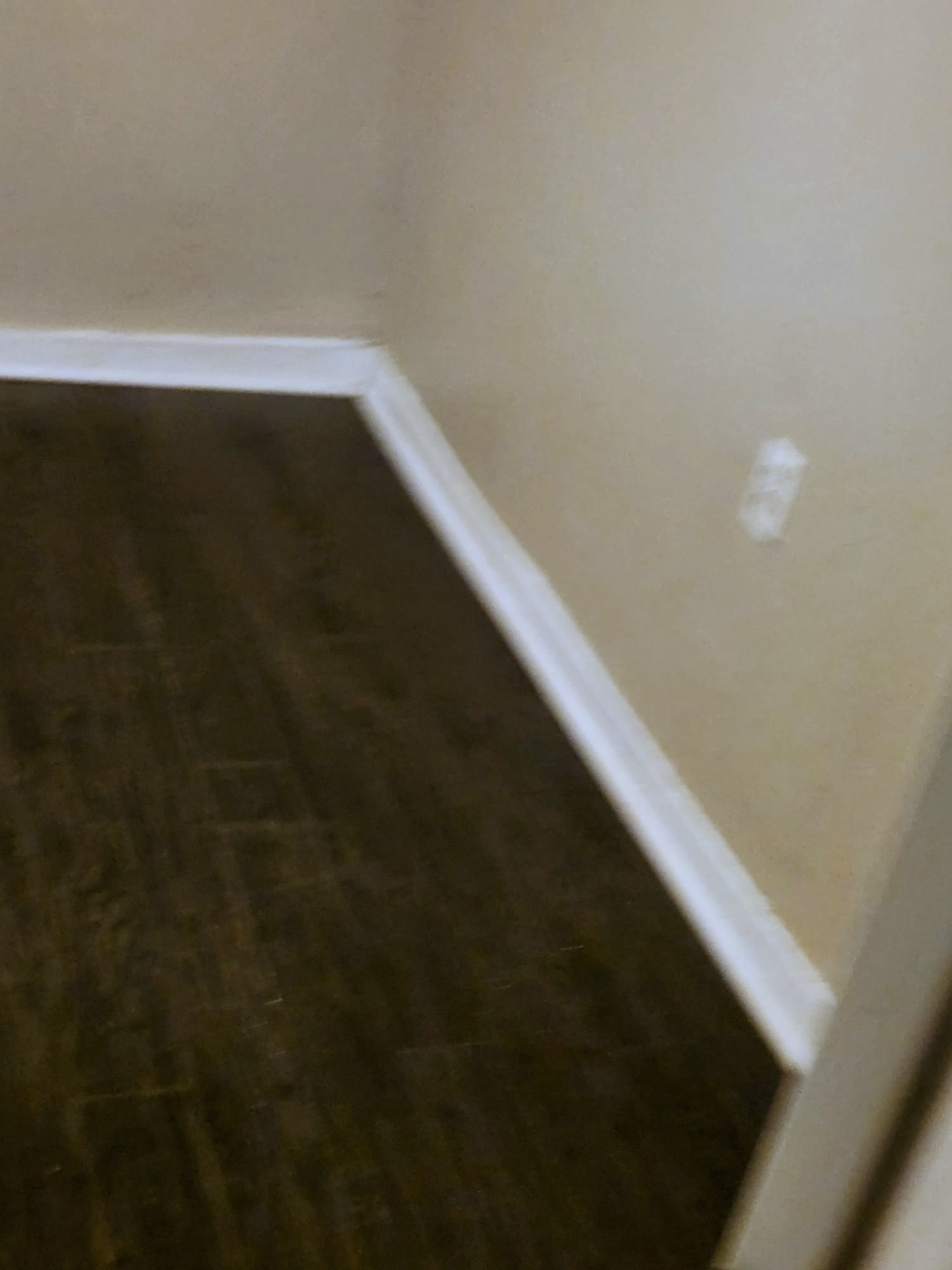 Polished hardwood floors and clean baseboards after deep cleaning